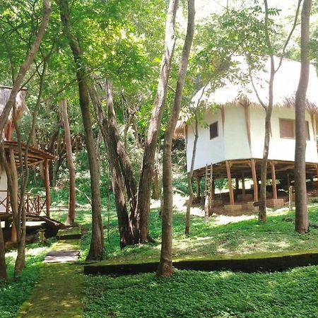 Tuani Ecolodge 托拉 外观 照片