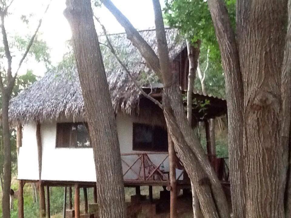 Tuani Ecolodge 托拉 外观 照片