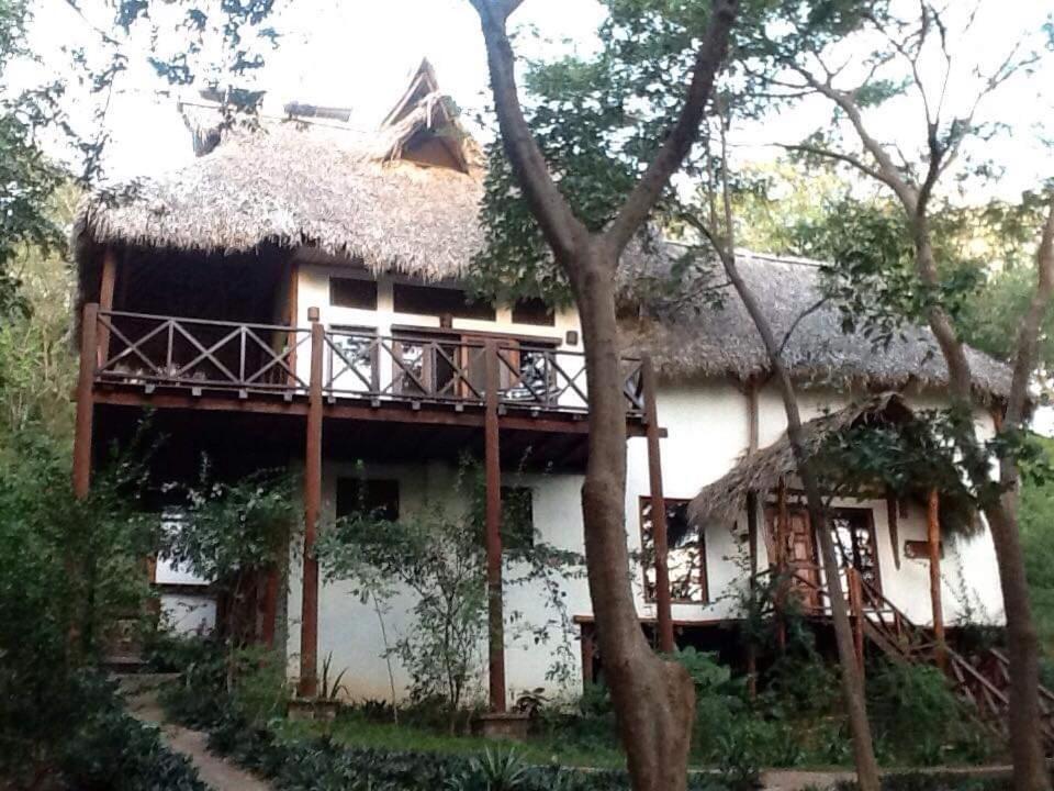 Tuani Ecolodge 托拉 外观 照片