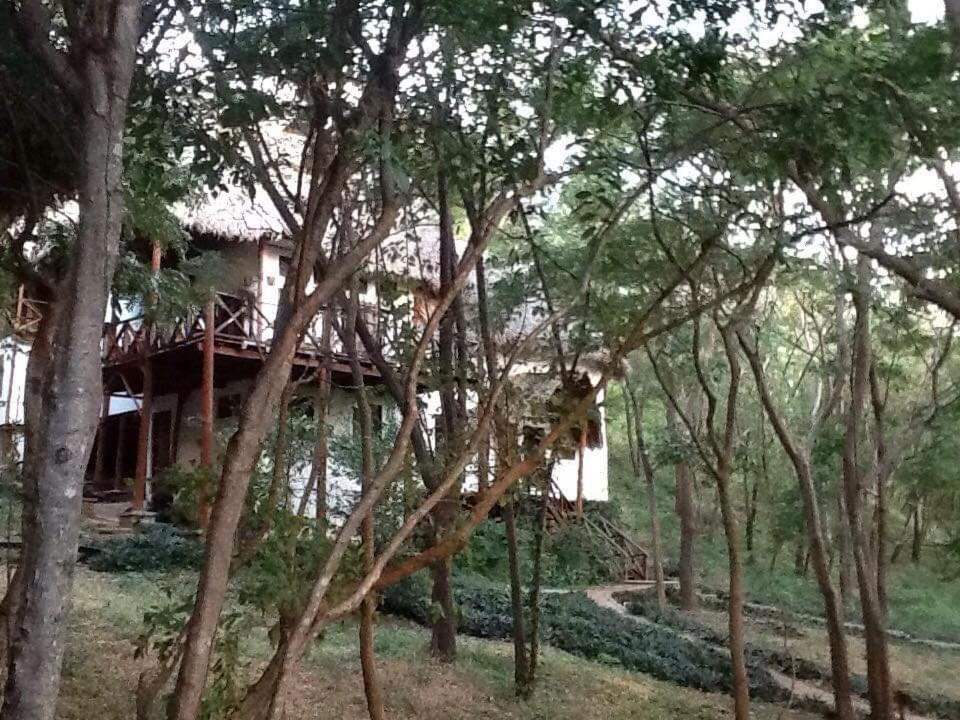 Tuani Ecolodge 托拉 外观 照片