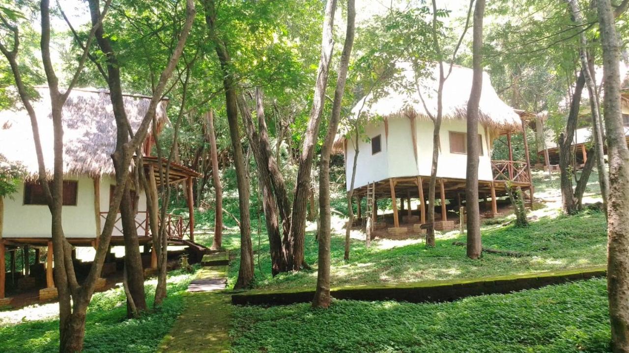 Tuani Ecolodge 托拉 外观 照片