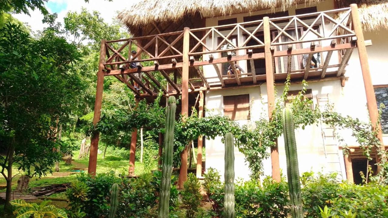 Tuani Ecolodge 托拉 外观 照片